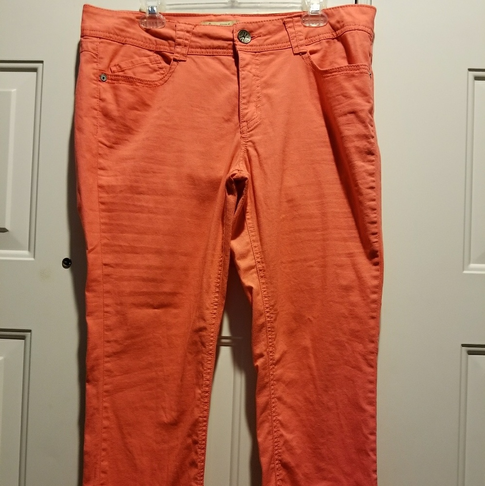 Democracy pants